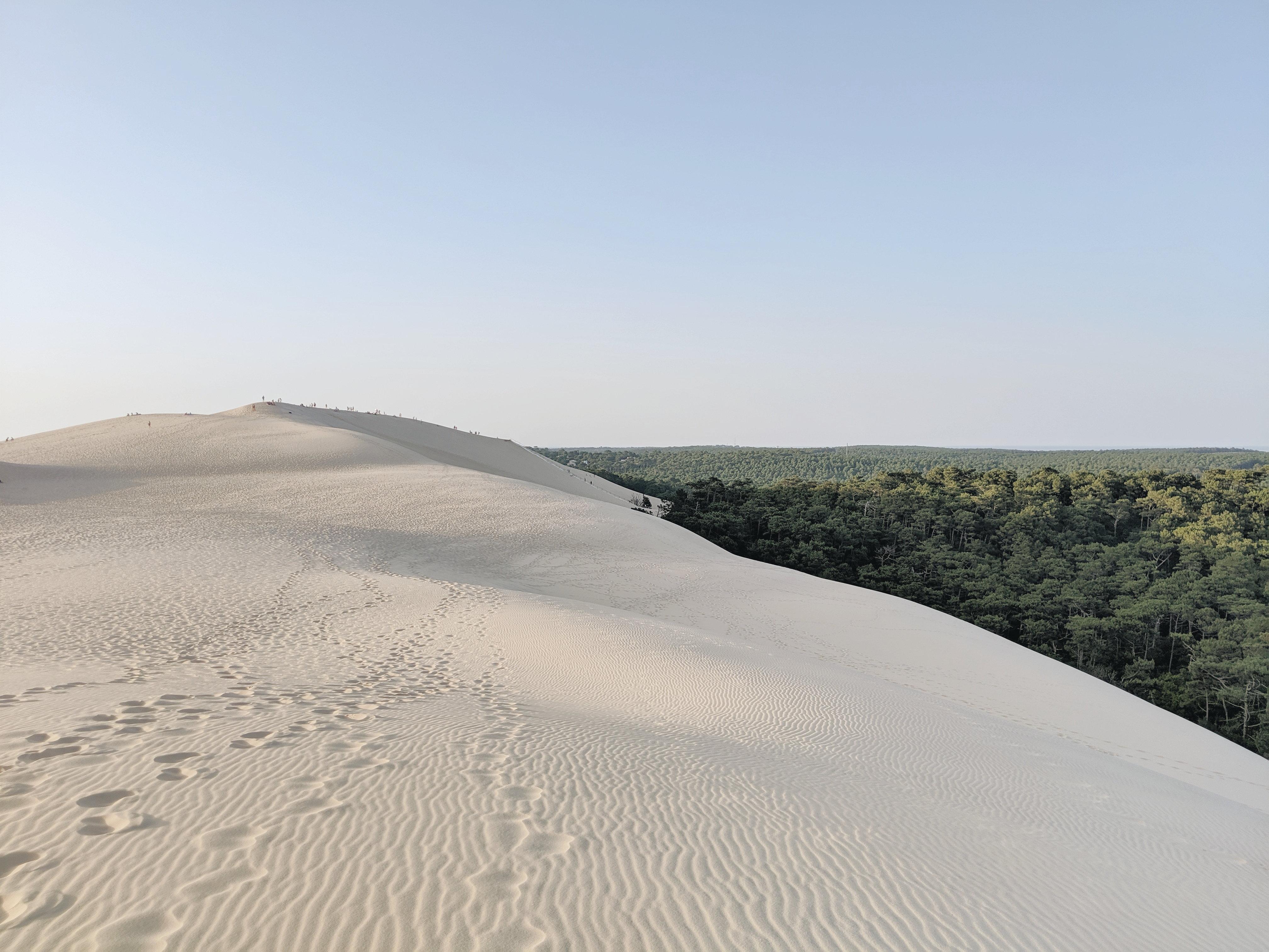 فندق InterContinental Bordeaux Le Grand المظهر الخارجي الصورة The dunes at the park